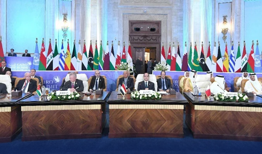 Muslim and Arab Nations to Convene in Istanbul for