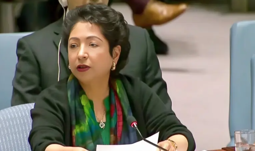Maleeha Lodhi Urges Pakistan to Withdraw from Trum