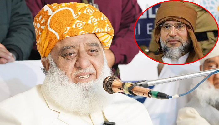 Maulana Fazlur Rehman Condemns Killing of Saif al-