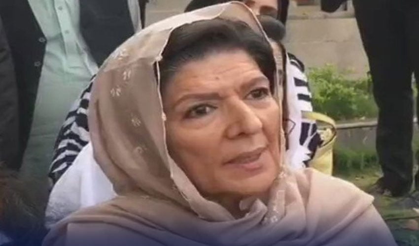 Aleema Khan Slams Govt, Urges Dialogue with Imran 