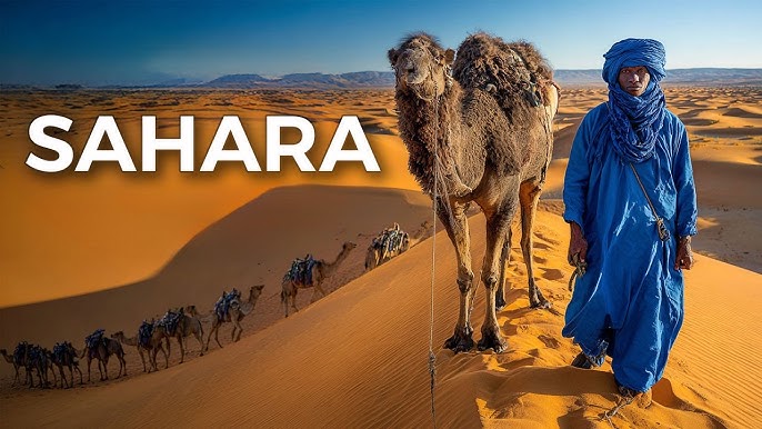49 Migrants Die of Thirst in Sahara Desert After T