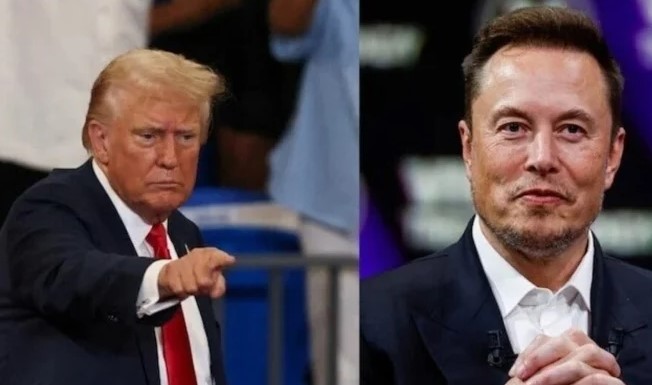 Trump Calls Elon Musk the 'New Star' of the Republican Party After Election Victory