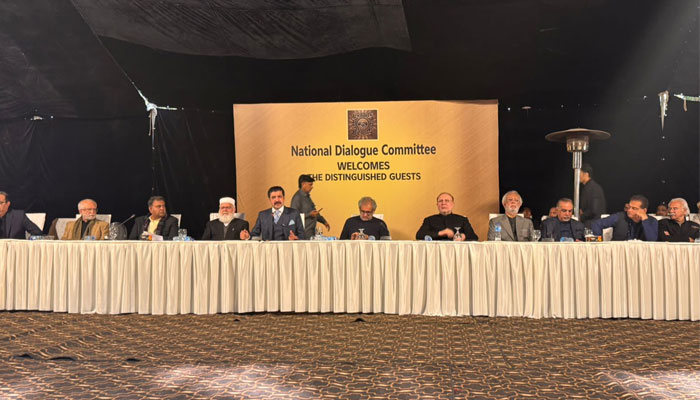 National Dialogue Committee Proposes Govt–Opposi