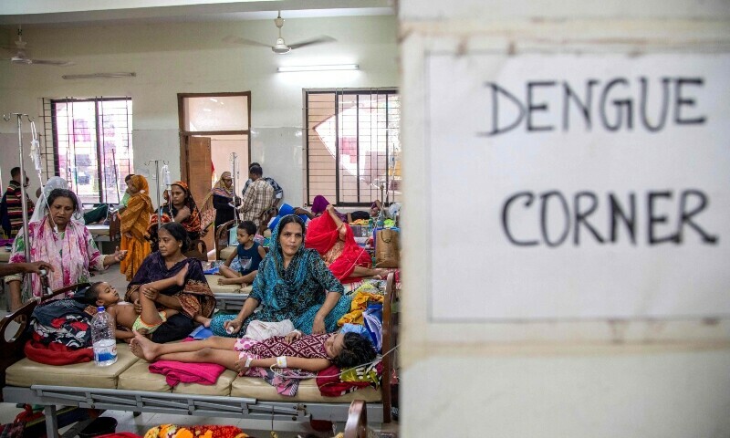 Bangladesh Faces Year-Round Dengue Crisis Amid Cli