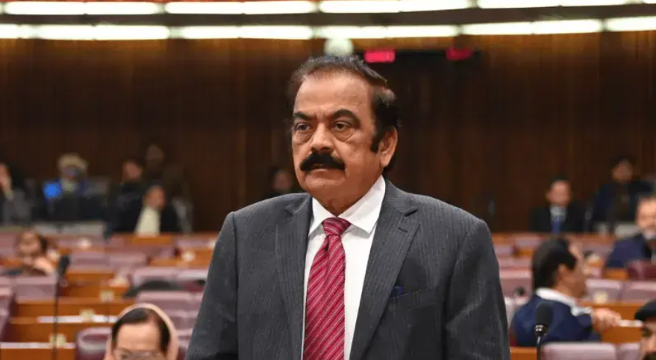 Rana Sanaullah Urges PML-N, PPP to Reconcile, Deni
