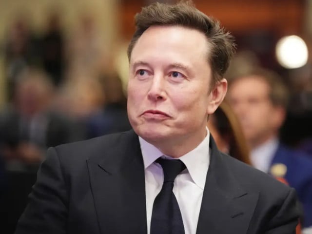 Elon Musk Aligns with Indian Lawmaker's Anti-Pakis