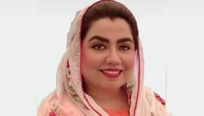 Former ANP Leader Samar Bilour Joins PML-N, Meets 