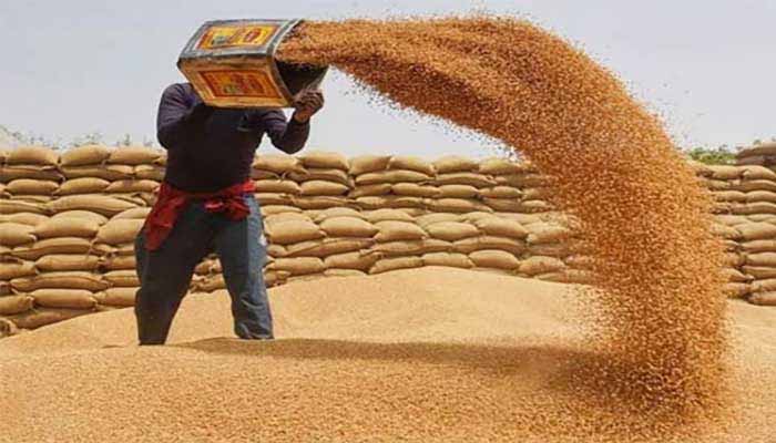 Auditor General Confirms Rs300 Billion Wheat Impor