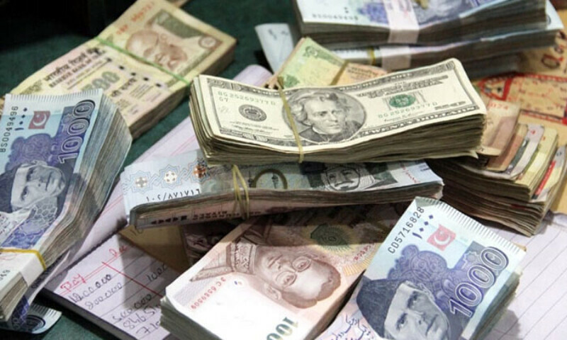 PM Thanks Overseas Pakistanis as Remittances Hit R