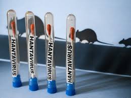 Global Hantavirus Alert: American and French Evacuees from Outbreak-Hit Cruise Ship Test Positive