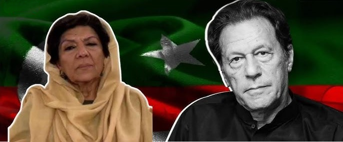 ‘We Reject PIMS Reports’: Aleema Khan Demands 