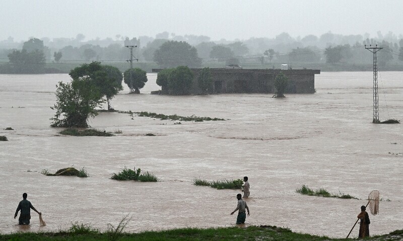 Monsoon Fury: Punjab Battles Medium Flooding and Rising Death Toll as More Rains Loom