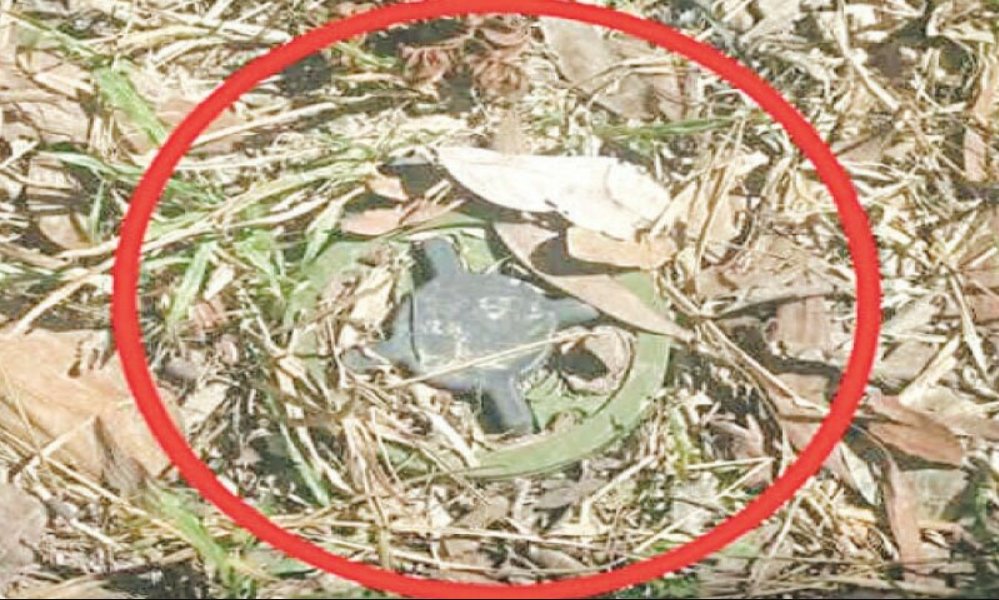 WWII-Era Bomb Forces 6,000 to Evacuate in Hong Kon