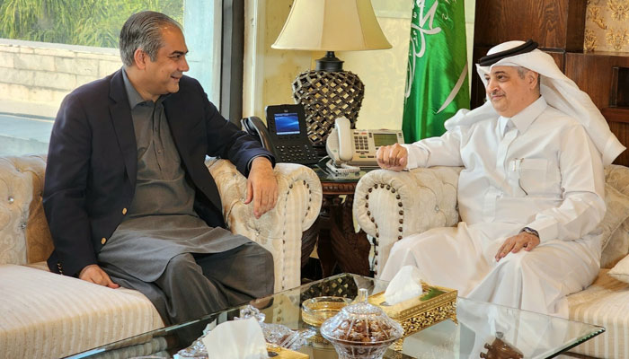 Pakistan, Saudi Arabia Resolve Rohingya Legal Stat
