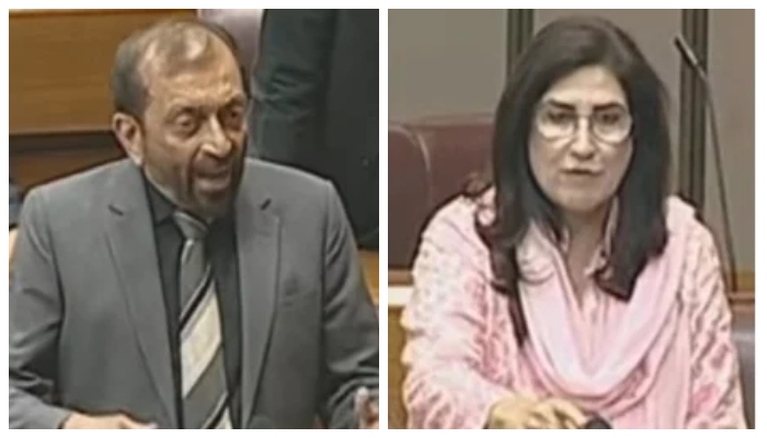 Khawaja Asif Calls 18th Amendment a ‘Sham,’ Ur