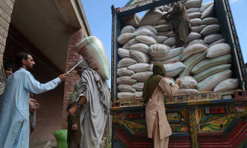 Punjab Clarifies Wheat Transportation Policy Amid Abundance Crisis; KP Saves Billions with Direct Procurement