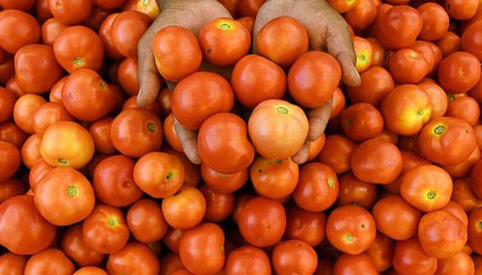 Tomato Prices Surge to Record Rs 600 per Kg as Imp