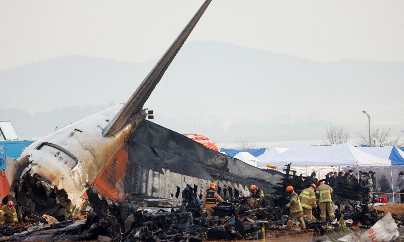 Jeju Air Crash: Evidence Points to Pilot Error After Bird Strike, Sparks Outcry