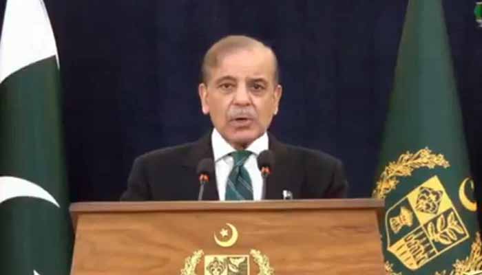 PM Shehbaz Unveils Power Subsidy Package for Indus