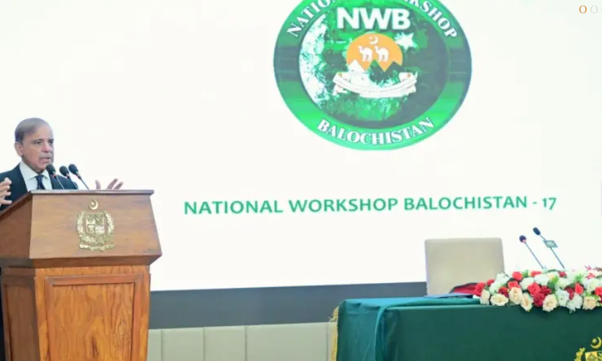 PM Shehbaz Stresses Provincial Unity, Highlights B