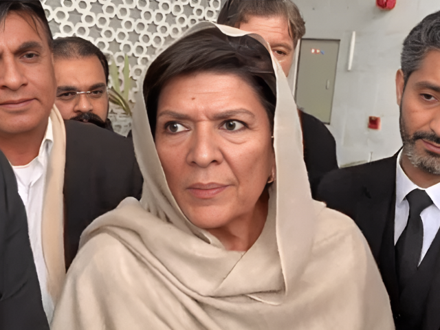 Imran Khan's Sister Aleema Khan Asserts PTI Founde