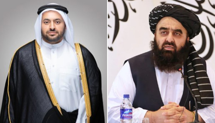 Afghanistan, Qatar Discuss Reducing Tensions with Pakistan