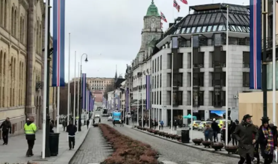 Norwegian Teen Held for Hostel Murder Also Planned Mosque Attack, Say Police