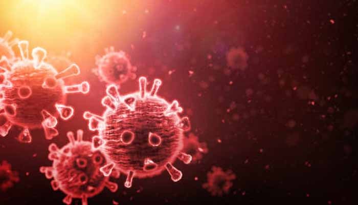 Mystery of 2021 Viral Disease in Karachi Solved: Z