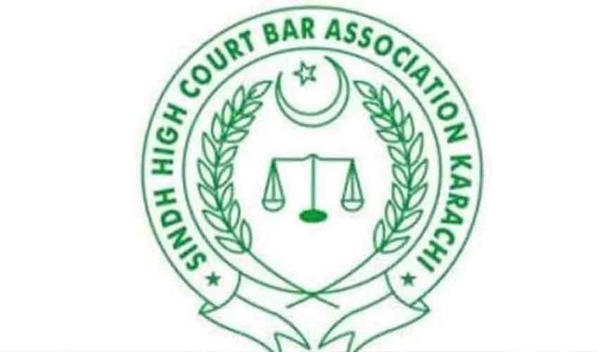 Haseeb Jamali Elected SHCBA President; Farida Mang