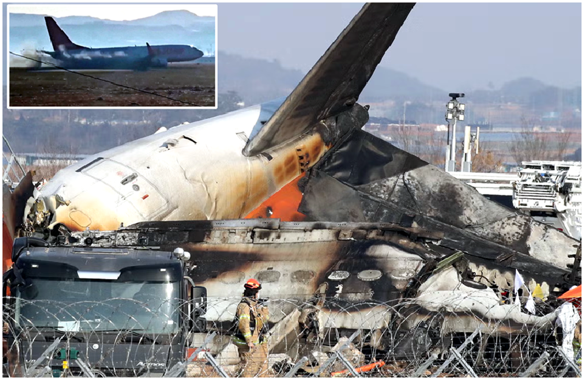 Tragic Plane Crash at Moan Airport in South Korea 